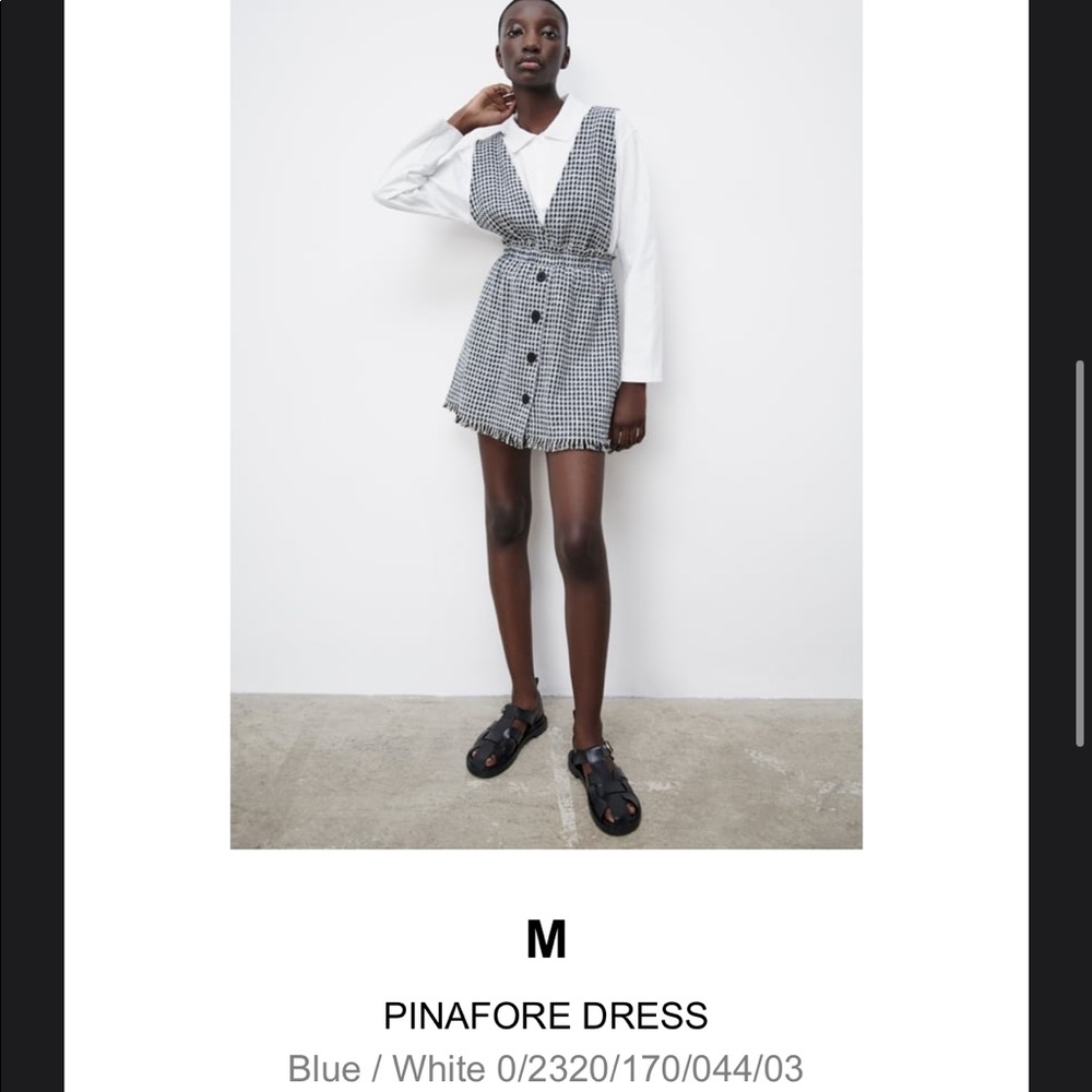 Zara dress